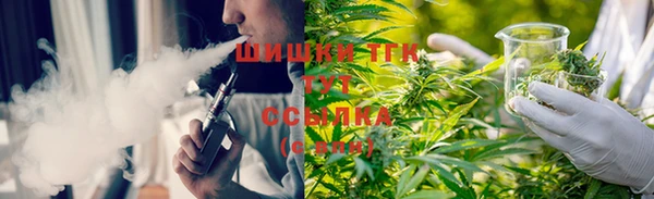 крисы Елабуга