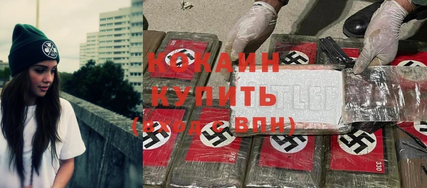 крисы Елабуга